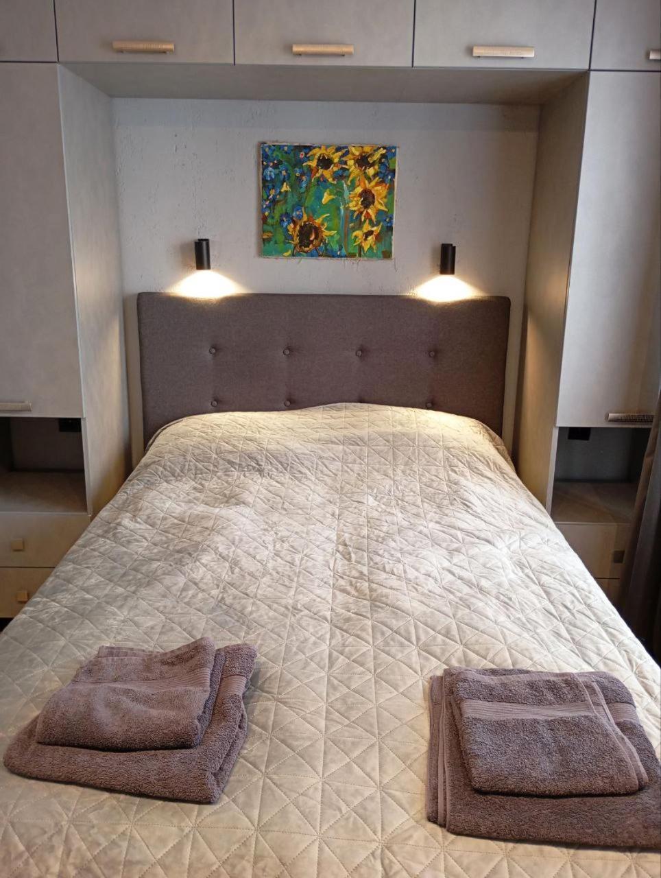 City Center Artmania Apartments キシナウ エクステリア 写真